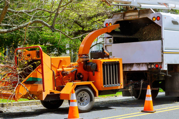 Reliable Shelley, ID Tree Removal and Landscaping Services Solutions